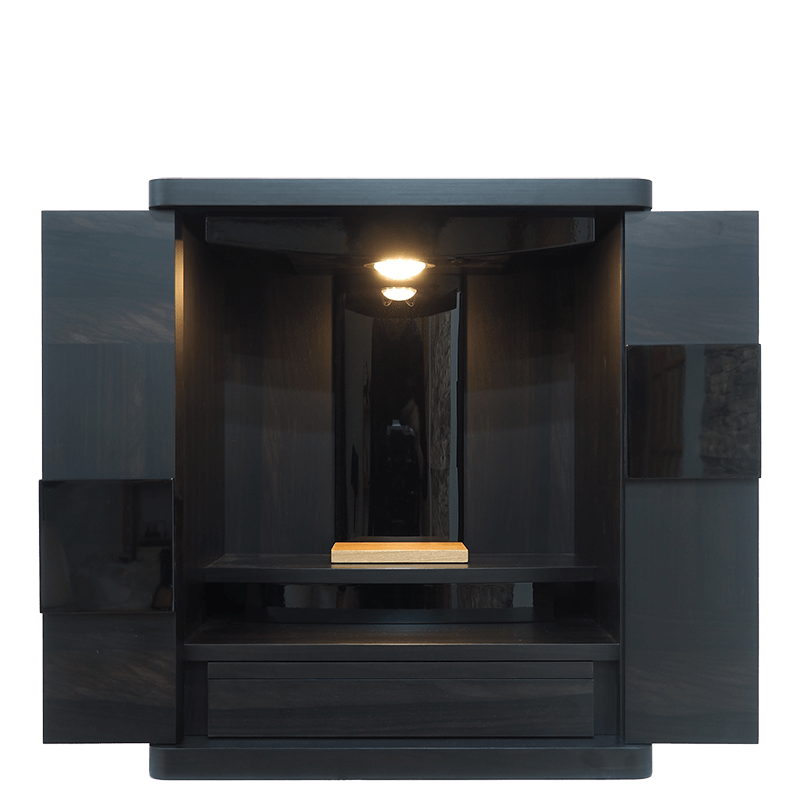 c-ds-006